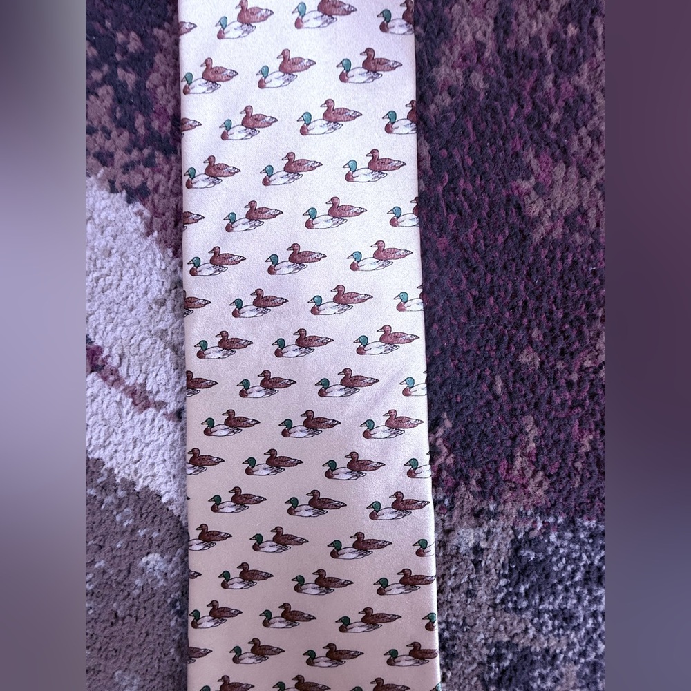 Printed novelty tie duck pattern spring summer silk